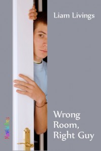 Wrong Room, Right Guy by Liam Livings
