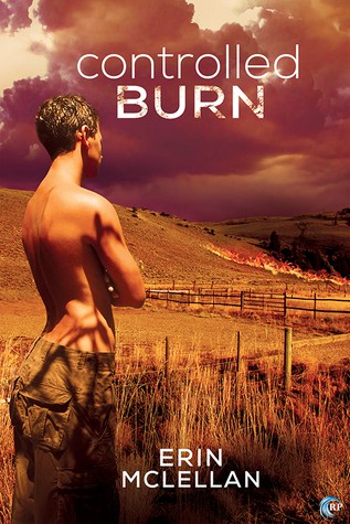 Looking for New Gay Romance Authors? Read Controlled Burn by Erin McLellan!