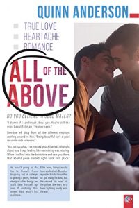 Cute Gay Romance Story: All of the Above by Quinn Anderson
